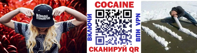 Кокаин FishScale  shop какой сайт  Вельск 
