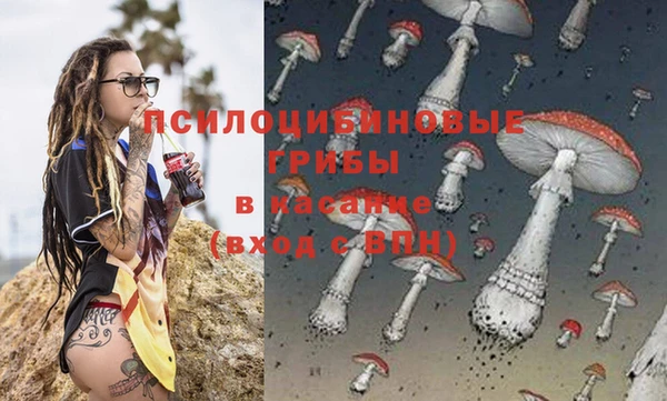 первитин Белокуриха