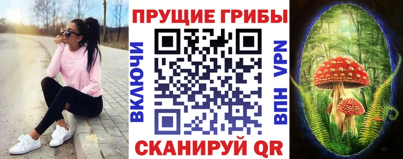 Псилоцибиновые грибы прущие грибы  kraken как войти  Вельск  цены  